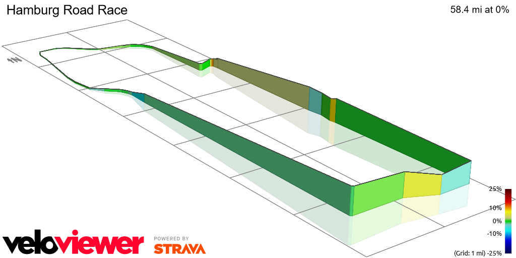 3D Elevation profile image for Hamburg Road Race