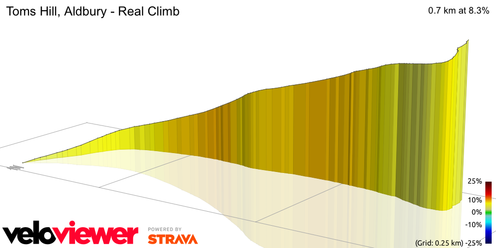 3D Elevation profile image for Toms Hill, Aldbury - Real Climb