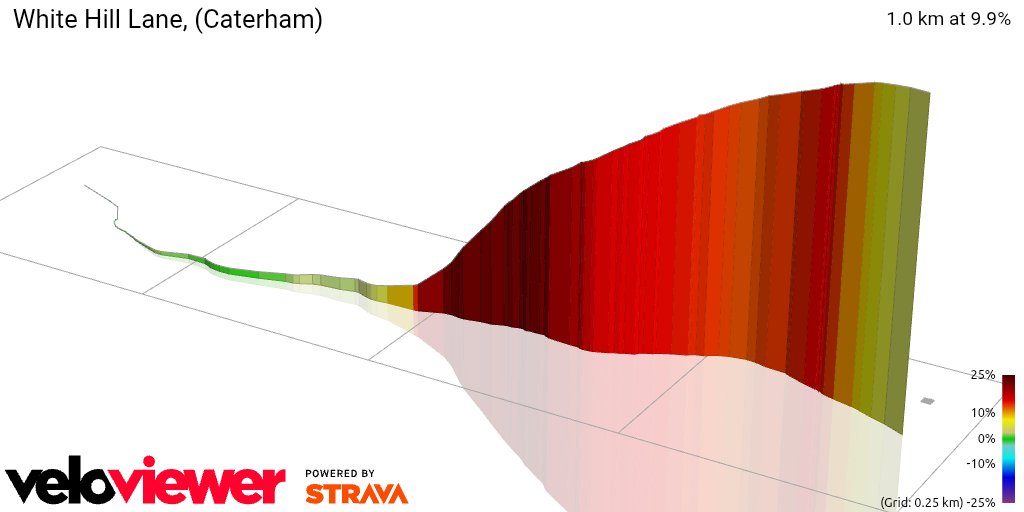 3D Elevation profile image for White Hill Lane, (Caterham)
