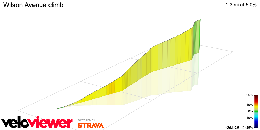 3D Elevation profile image for Wilson Avenue climb