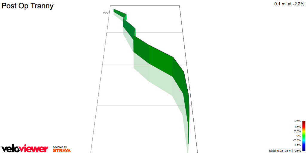 3D Elevation profile image for Post Op Tranny