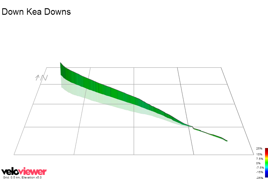 3D Elevation profile image for Down Kea Downs