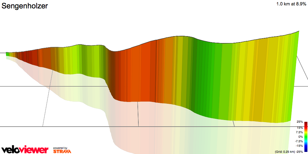 3D Elevation profile image for Sengenholzer