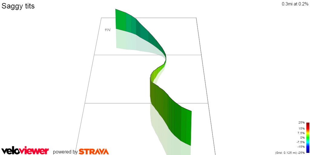 3D Elevation profile image for Saggy tits