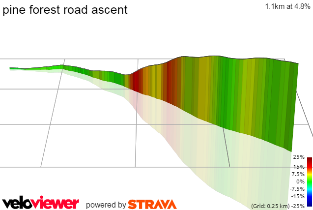 3D Elevation profile image for pine forest road ascent