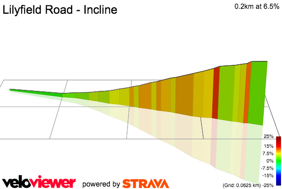 3D Elevation profile image for Lilyfield Road - Incline