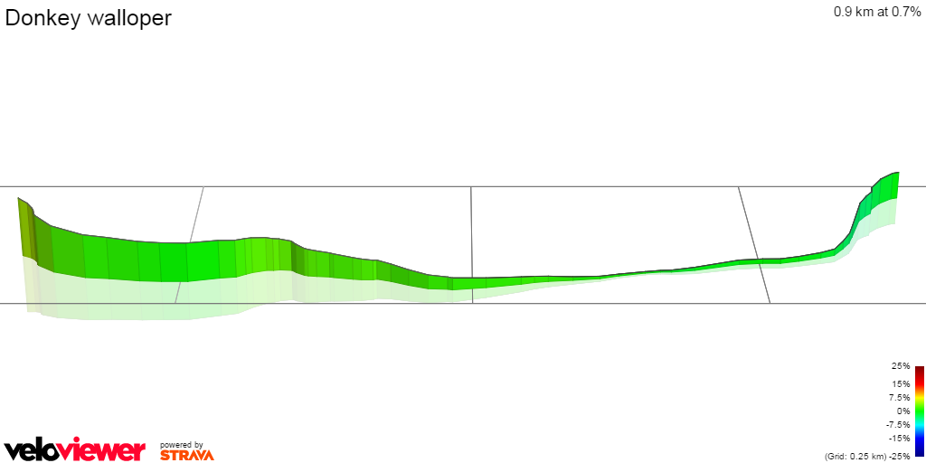3D Elevation profile image for Donkey walloper 