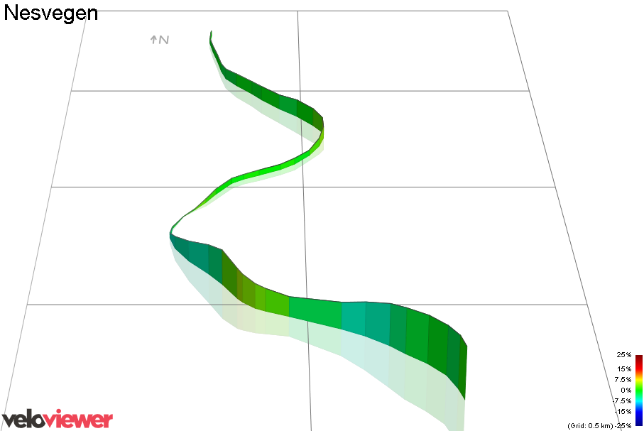 3D Elevation profile image for Nesvegen