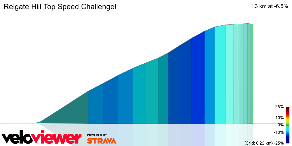 3D Elevation profile image for Reigate Hill Top Speed Challenge!