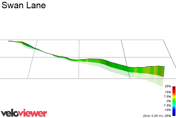 3D Elevation profile image for Swan Lane
