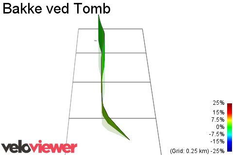 3D Elevation profile image for Bakke ved Tomb