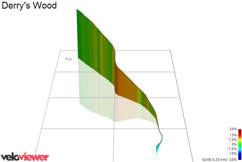 3D Elevation profile image for Derry's Wood