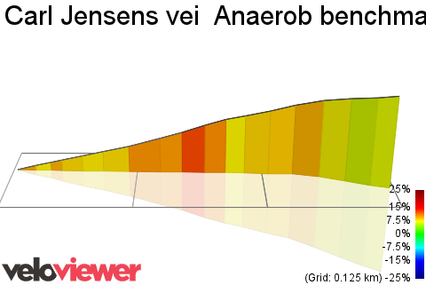 3D Elevation profile image for Carl Jensens vei  Anaerob benchmark 2