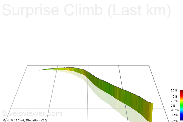 3D Elevation profile image for Surprise Climb (Last km)