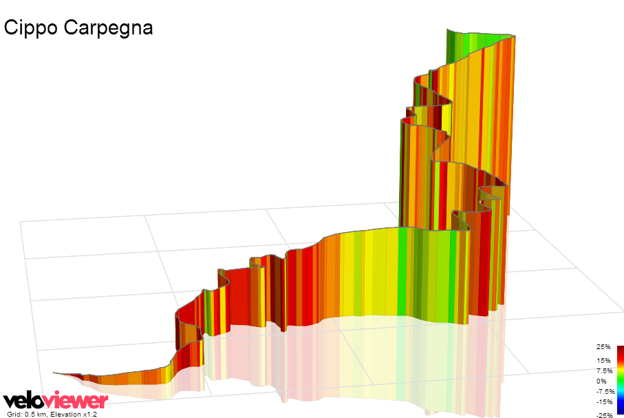 3D Elevation profile image for Cippo Carpegna
