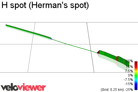 3D Elevation profile image for H spot (Herman's spot)