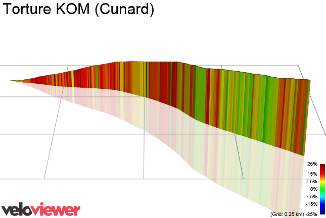 3D Elevation profile image for Torture KOM (Cunard)