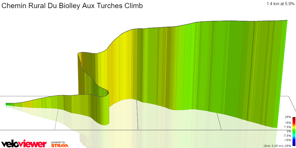 3D Elevation profile image for Chemin Rural Du Biolley Aux Turches Climb
