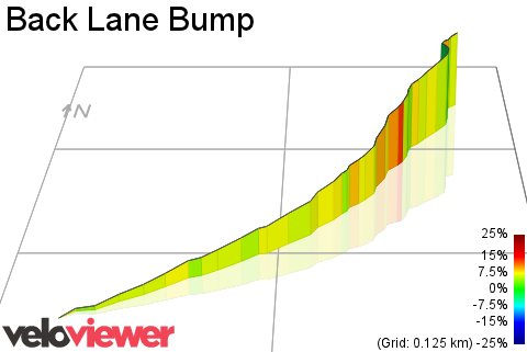 3D Elevation profile image for Back Lane Bump