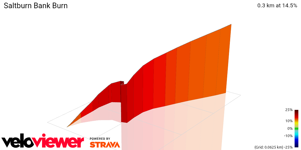 3D Elevation profile image for Saltburn Bank Burn