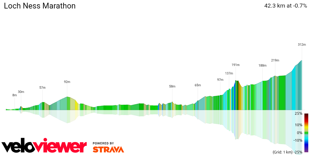 3D Elevation profile image for Loch Ness Marathon