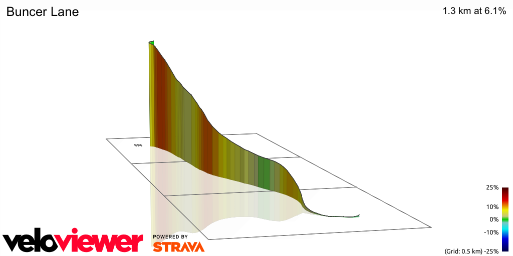 3D Elevation profile image for Buncer Lane