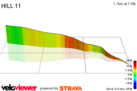 3D Elevation profile image for HILL 11