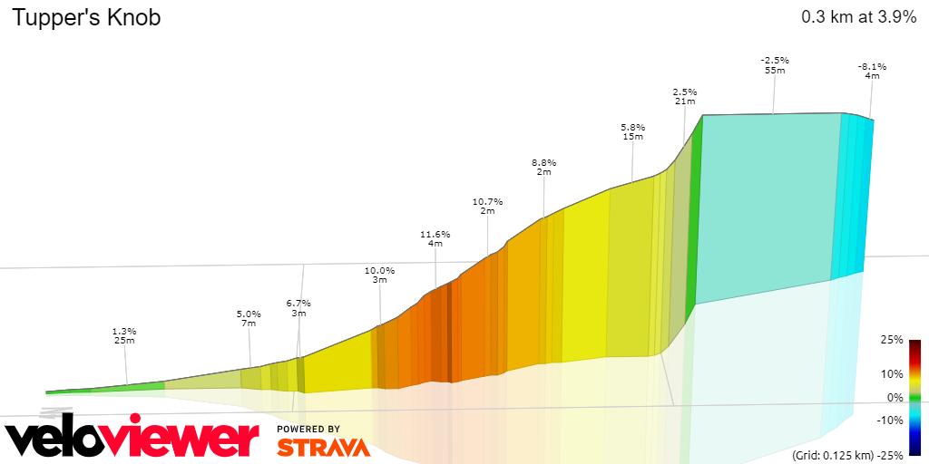 3D Elevation profile image for Tupper's Knob