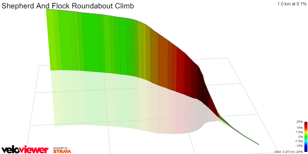 3D Elevation profile image for Shepherd And Flock Roundabout Climb