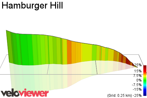 3D Elevation profile image for Hamburger Hill