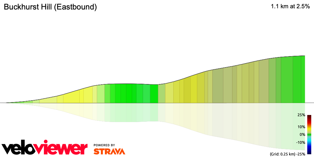 3D Elevation profile image for Buckhurst Hill (Eastbound)