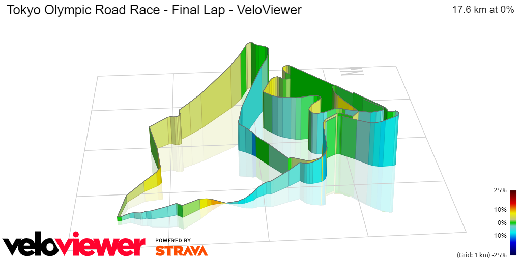 3D Elevation profile image for Tokyo Olympic Road Race - Final Lap - VeloViewer