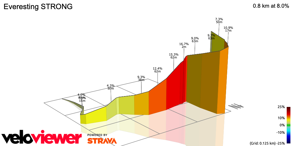 3D Elevation profile image for Everesting STRONG