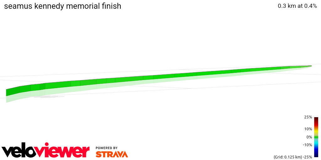3D Elevation profile image for seamus kennedy memorial finish