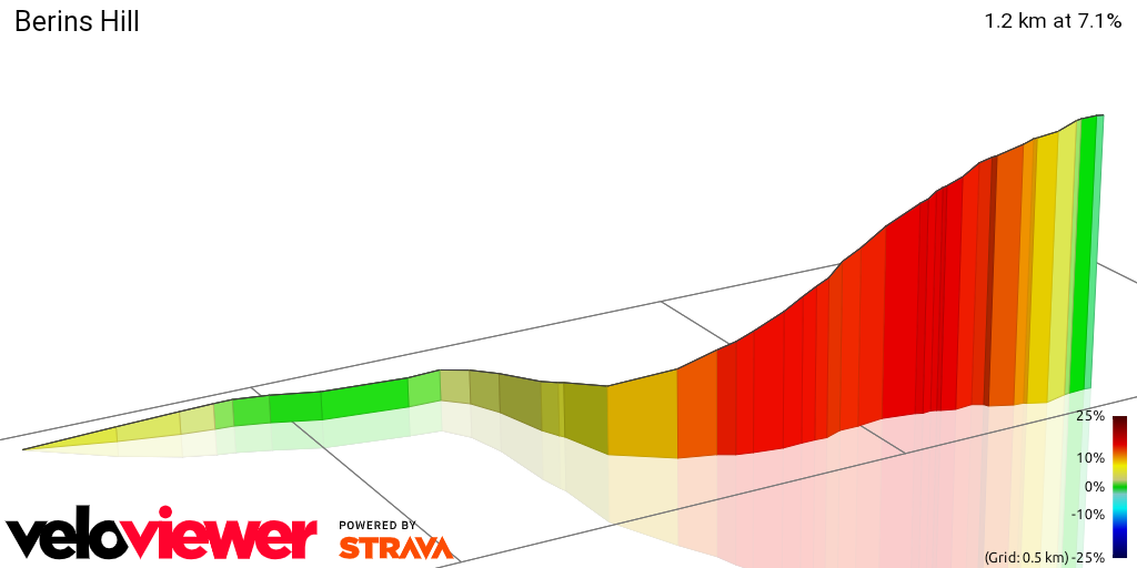 3D Elevation profile image for Berins Hill