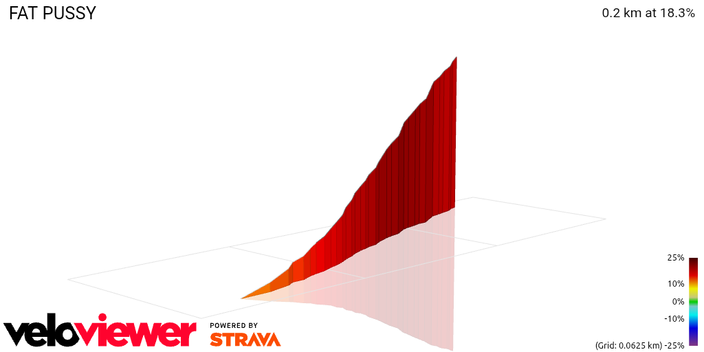 3D Elevation profile image for FAT PUSSY