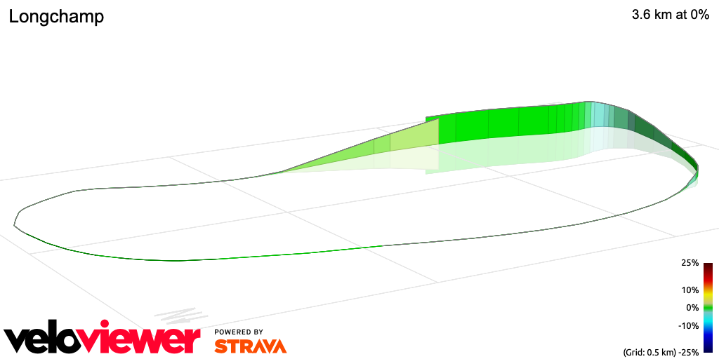 3D Elevation profile image for Longchamp