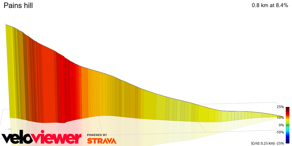 3D Elevation profile image for Pains hill