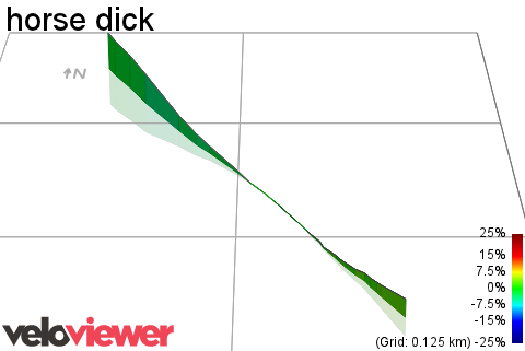 3D Elevation profile image for horse dick