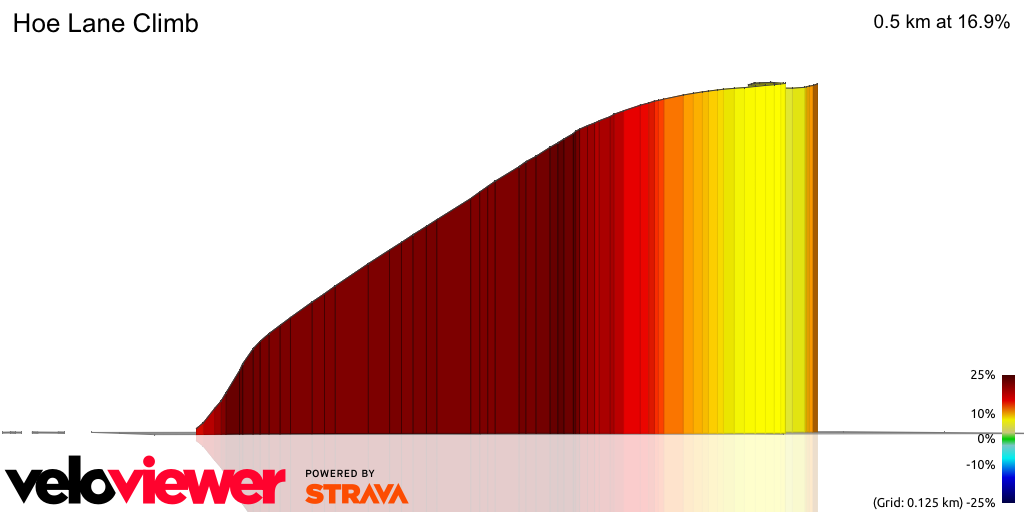 3D Elevation profile image for Hoe Lane Climb