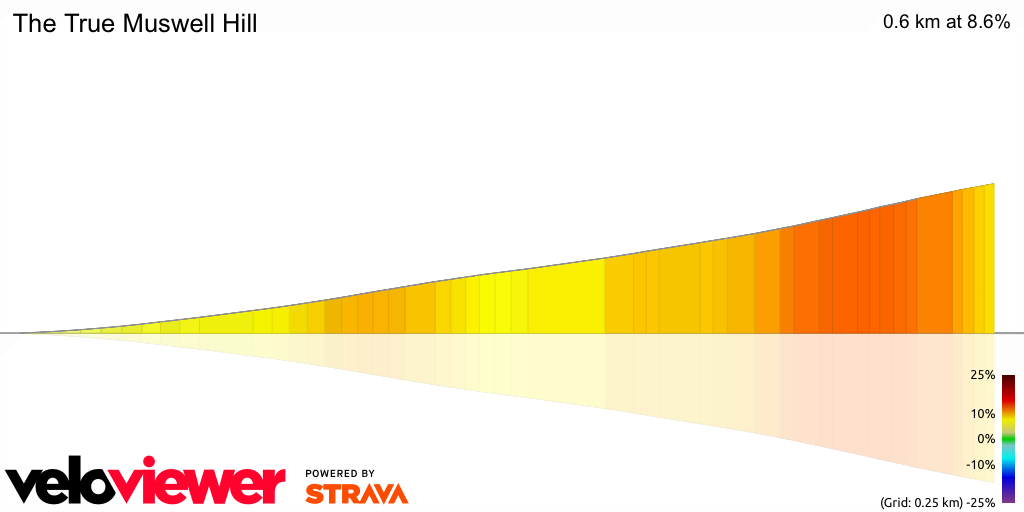 3D Elevation profile image for The True Muswell Hill