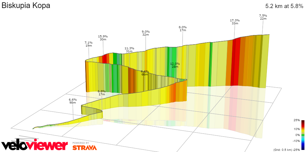 3D Elevation profile image for Biskupia Kopa