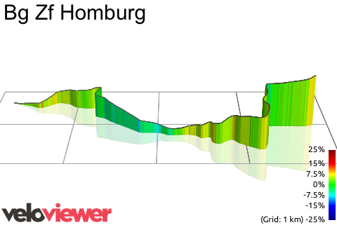 3D Elevation profile image for Bg Zf Homburg