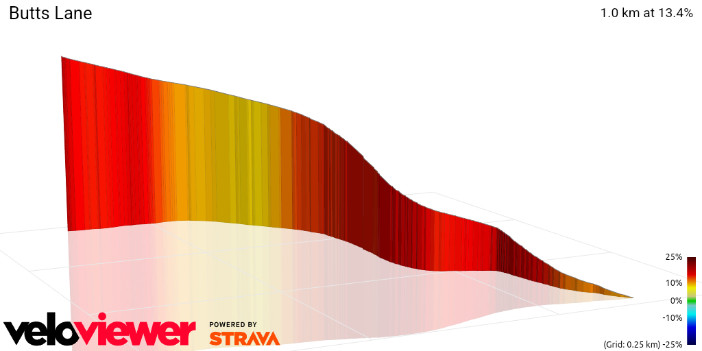 3D Elevation profile image for Butts Lane