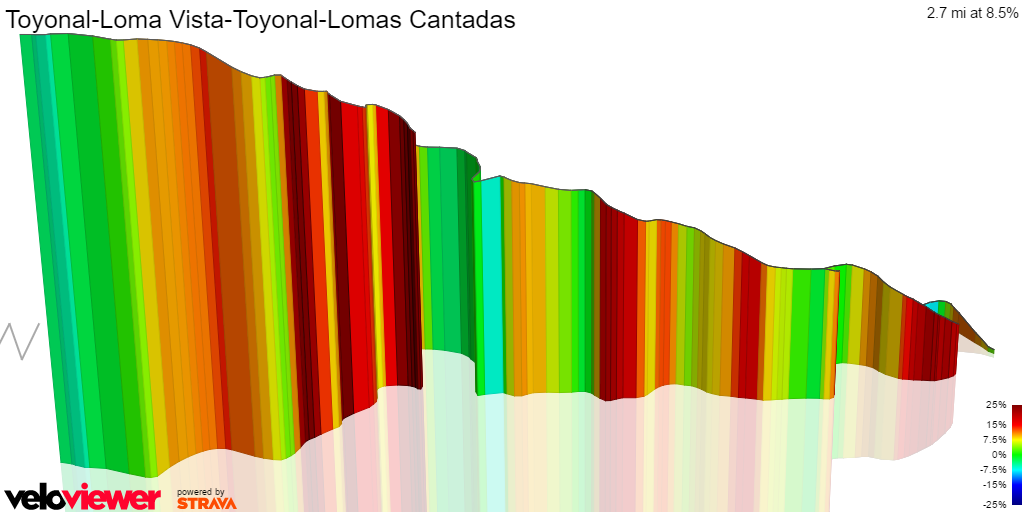3D Elevation profile image for Toyonal-Loma Vista-Toyonal-Lomas Cantadas