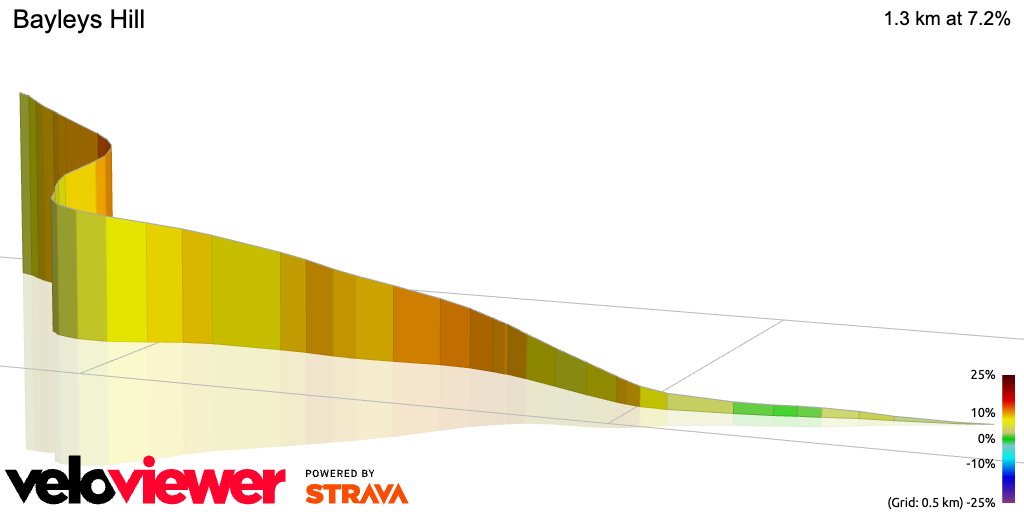 3D Elevation profile image for Bayleys Hill