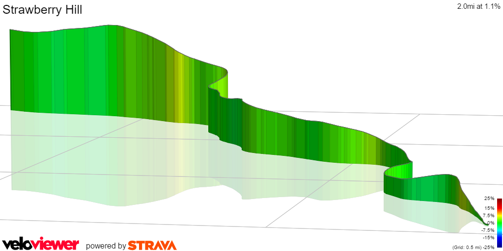 3D Elevation profile image for Strawberry Hill