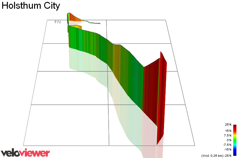 3D Elevation profile image for Holsthum City