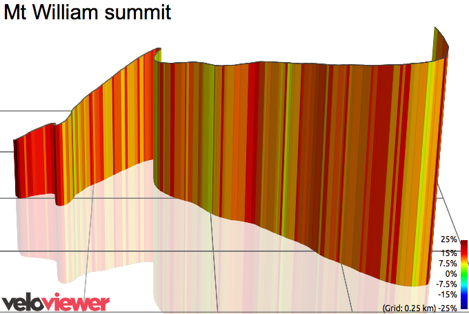 3D Elevation profile image for Mt William summit
