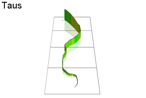 3D Elevation profile image for Taus